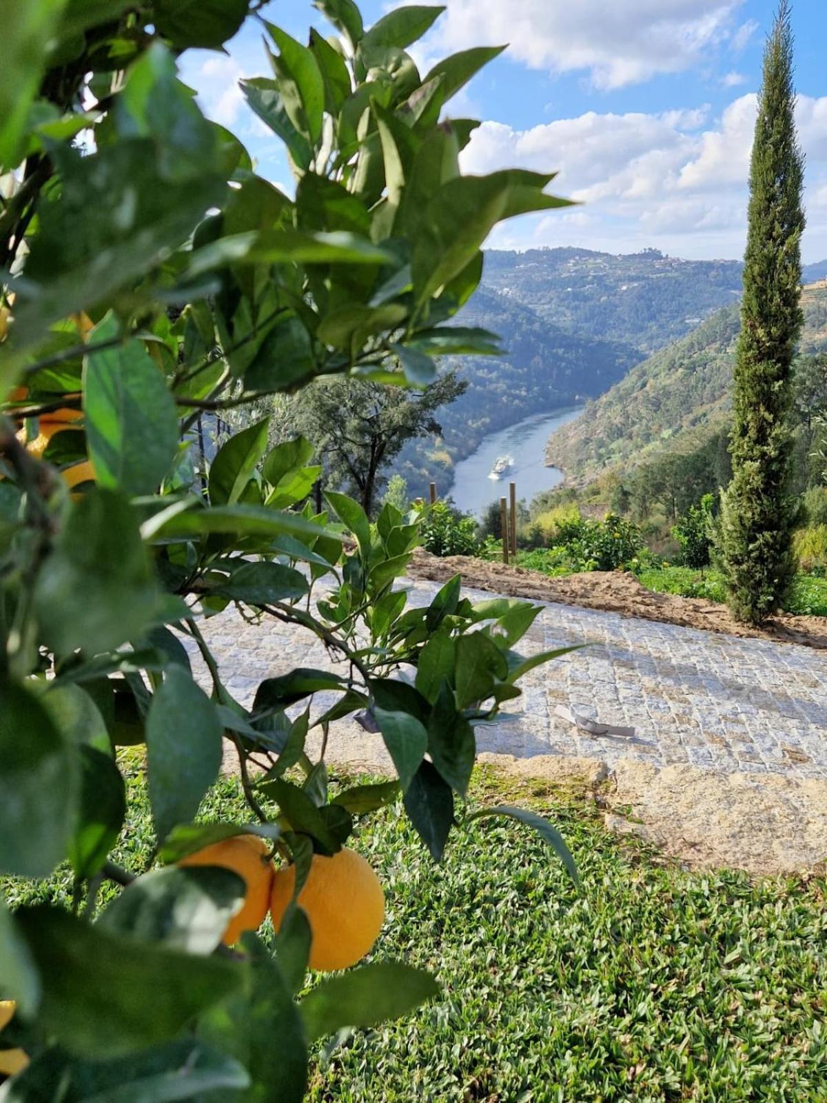 Penha Longa Javardo - Family House - Douro מראה חיצוני תמונה
