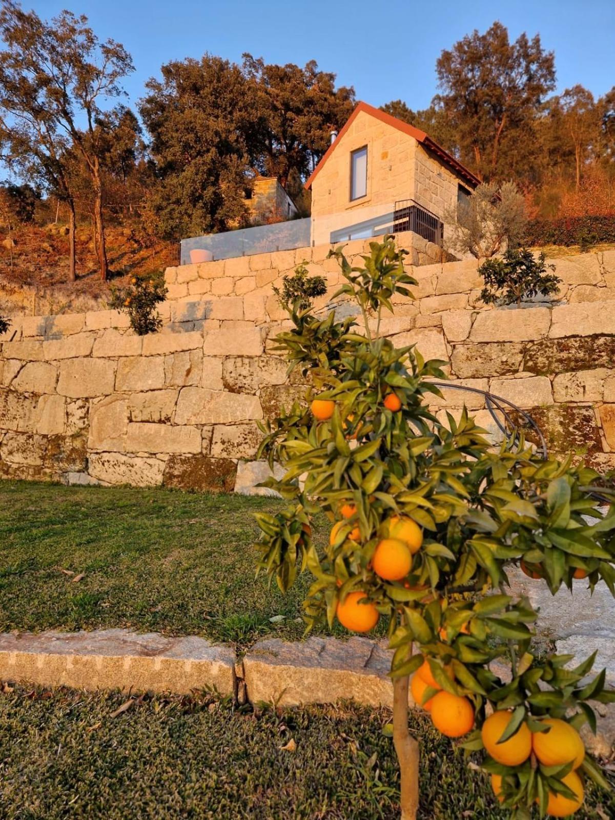 Penha Longa Javardo - Family House - Douro מראה חיצוני תמונה